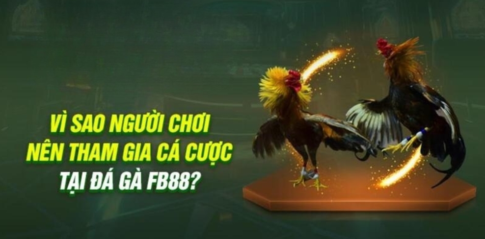 Lý do nào khiến game đá gà online Fb88 được ưa chuộng?